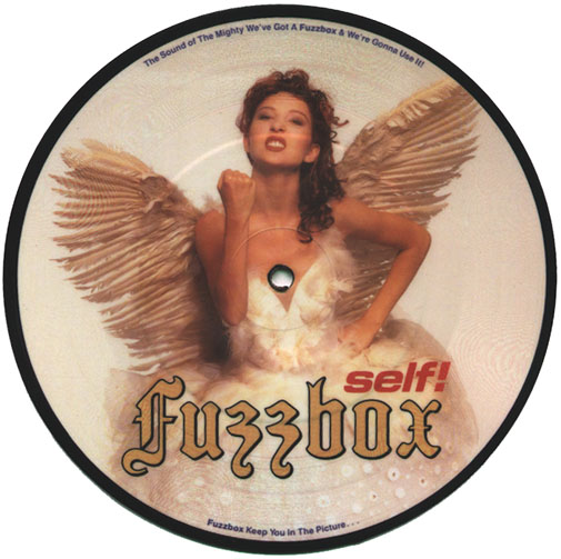 Fuzzbox 'Self' UK 7" picture disc