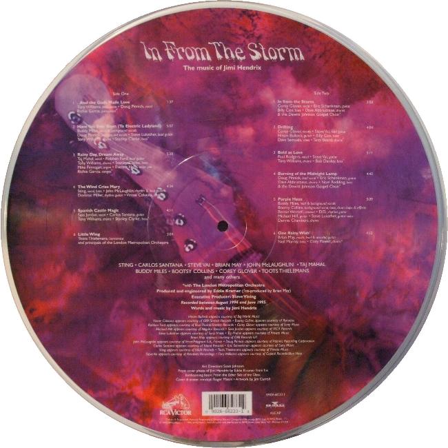 Various Artists 'In from The Storm' US picture disc