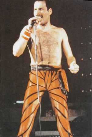Freddie Mercury photograph, 1984